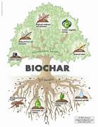 biochar-CHARTREE2-139x180.jpg