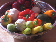 vegetabowl-240x180.jpg